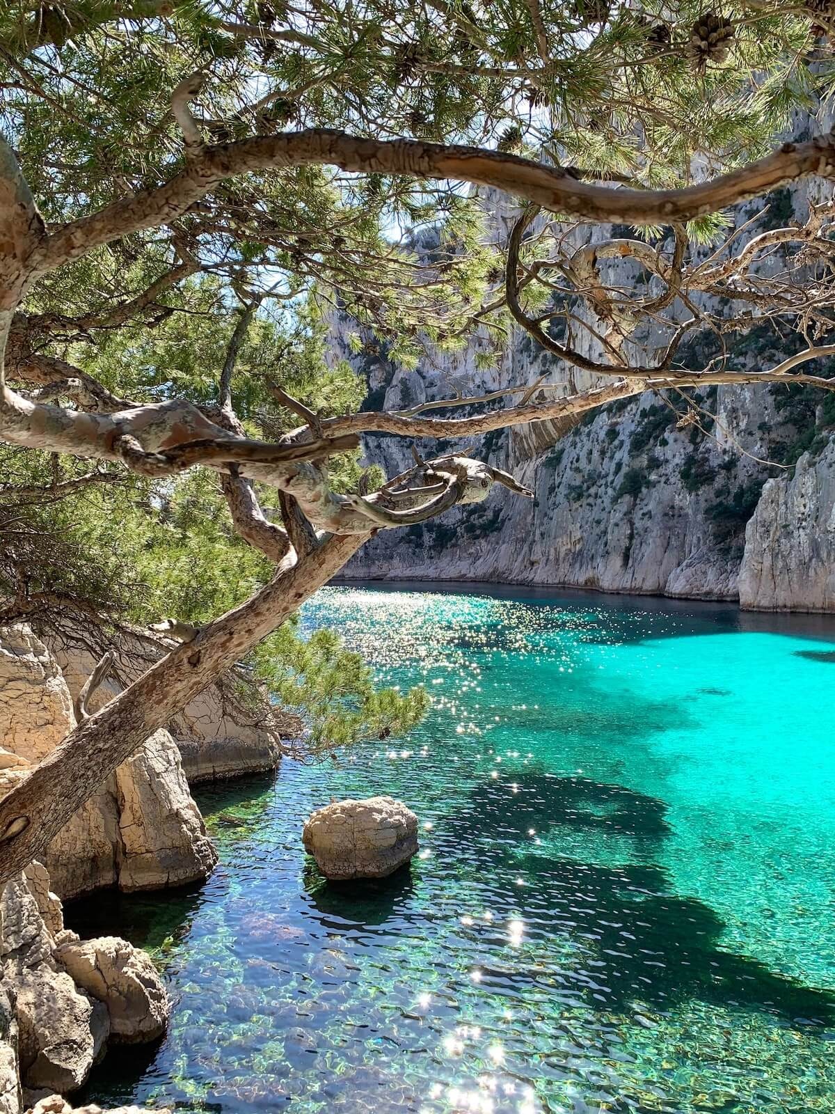 turquoise sea water with trees and rocks